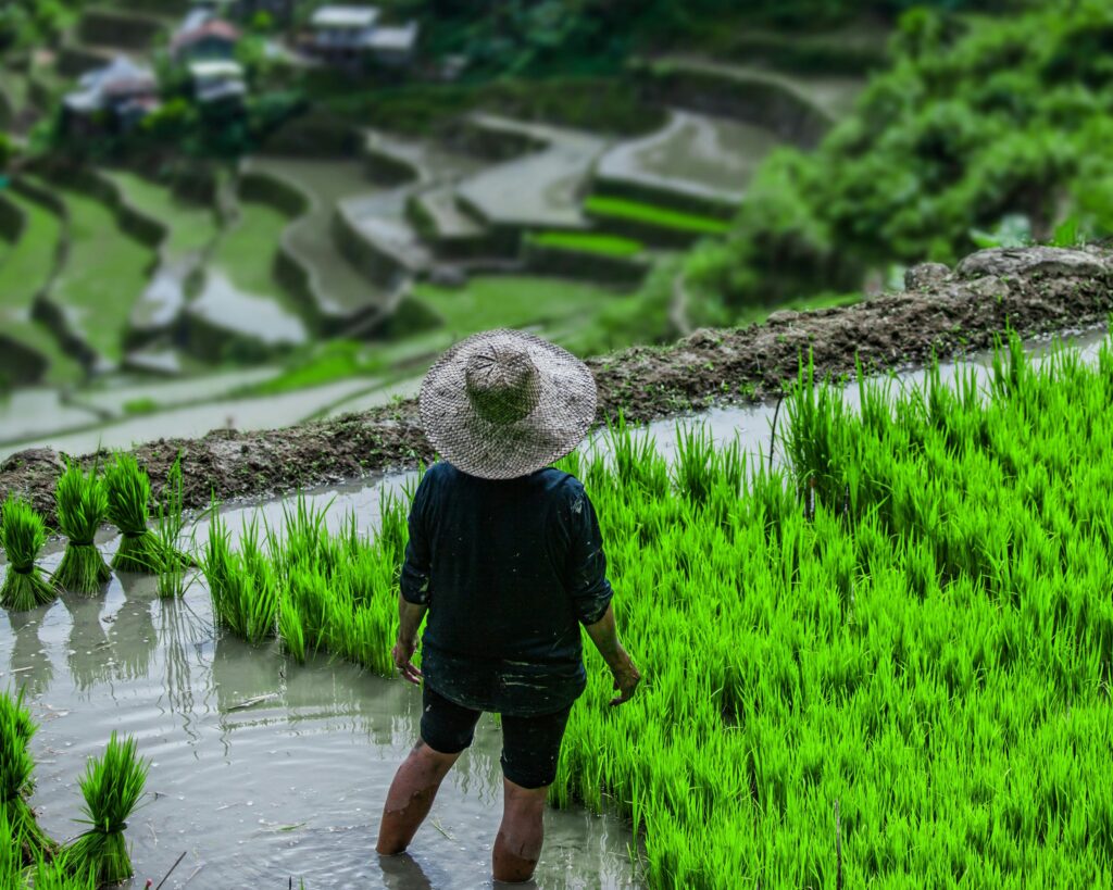 Funny Filipino Shirts