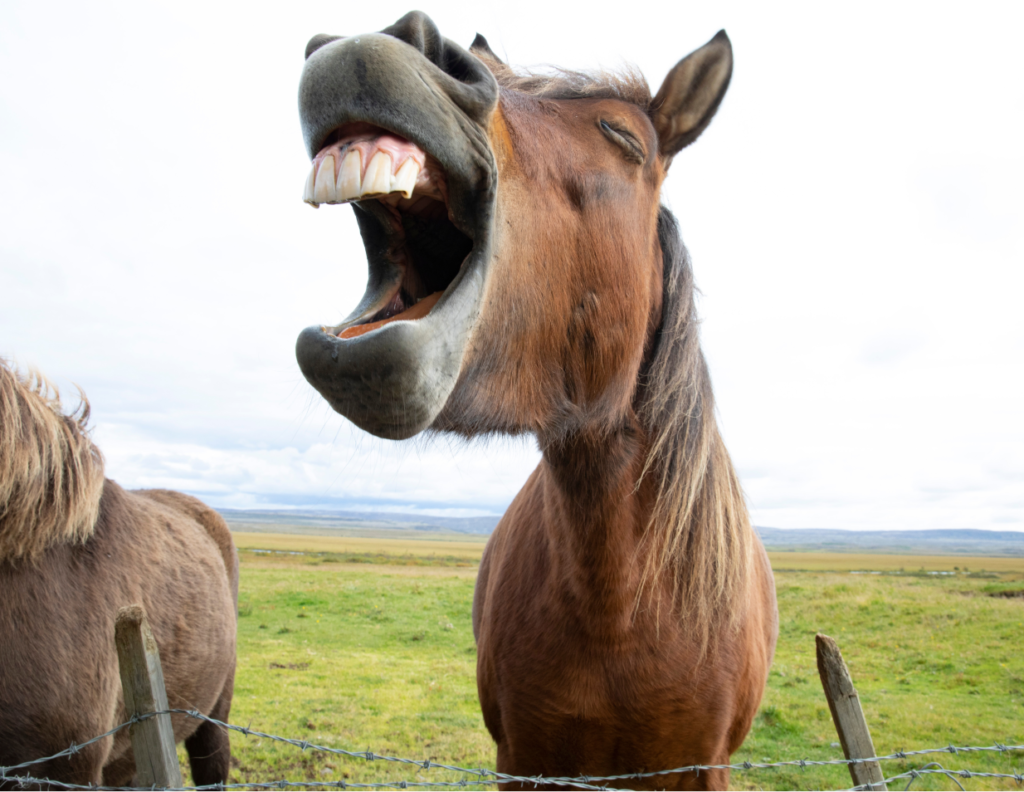 funny Christian shirts